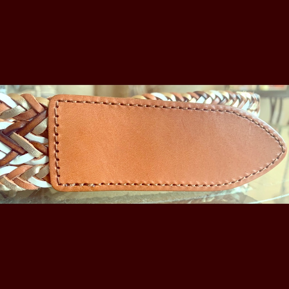 Fossil multicolored Belt